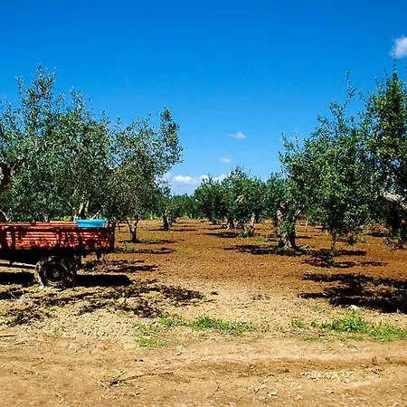 Spacious House With Sea View