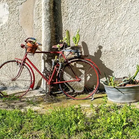 Spacious House With Sea View *