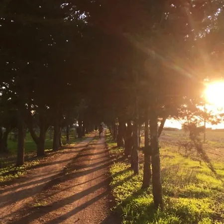 Spacious House With Sea View Nyaraló